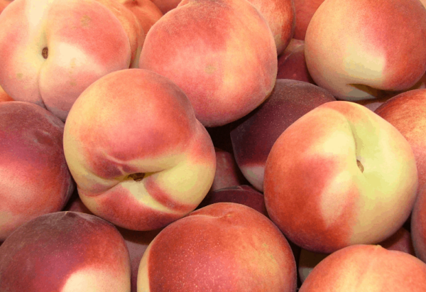 Peaches-Bulk 5#